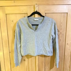 Aritzia TNA Gray cropped long sleeve